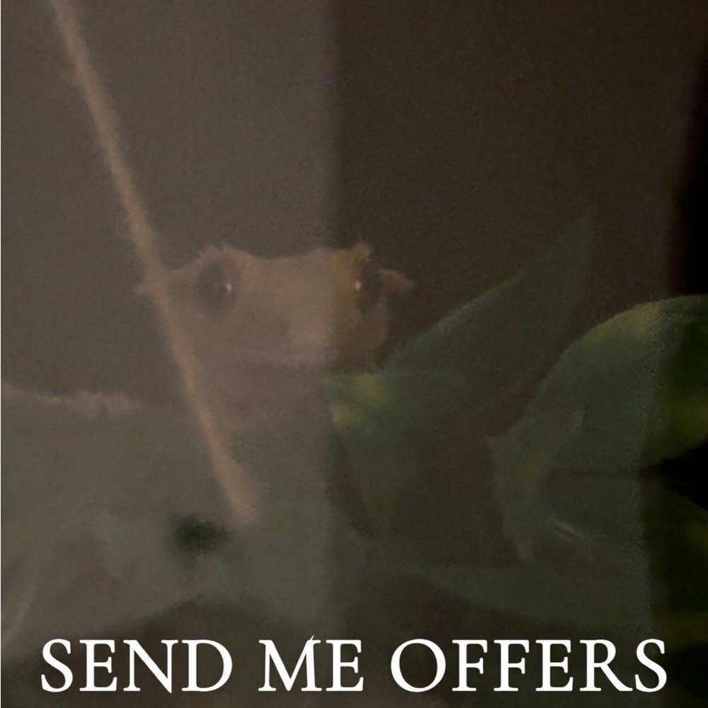 Open to any offers!💛💛